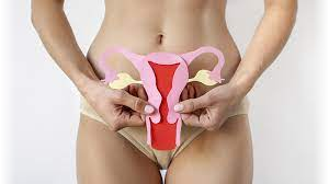 ATENCIÓN INTEGRAL EN VULVA Y SUELO PÉLVICO: DIAGNÓSTICO, REGENERACIÓN Y TRATAMIENTO CONSERVADOR